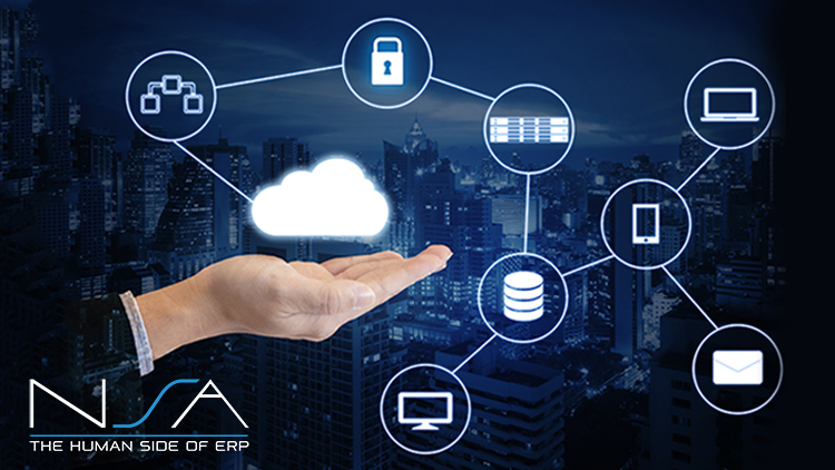 Nsa Professional Services